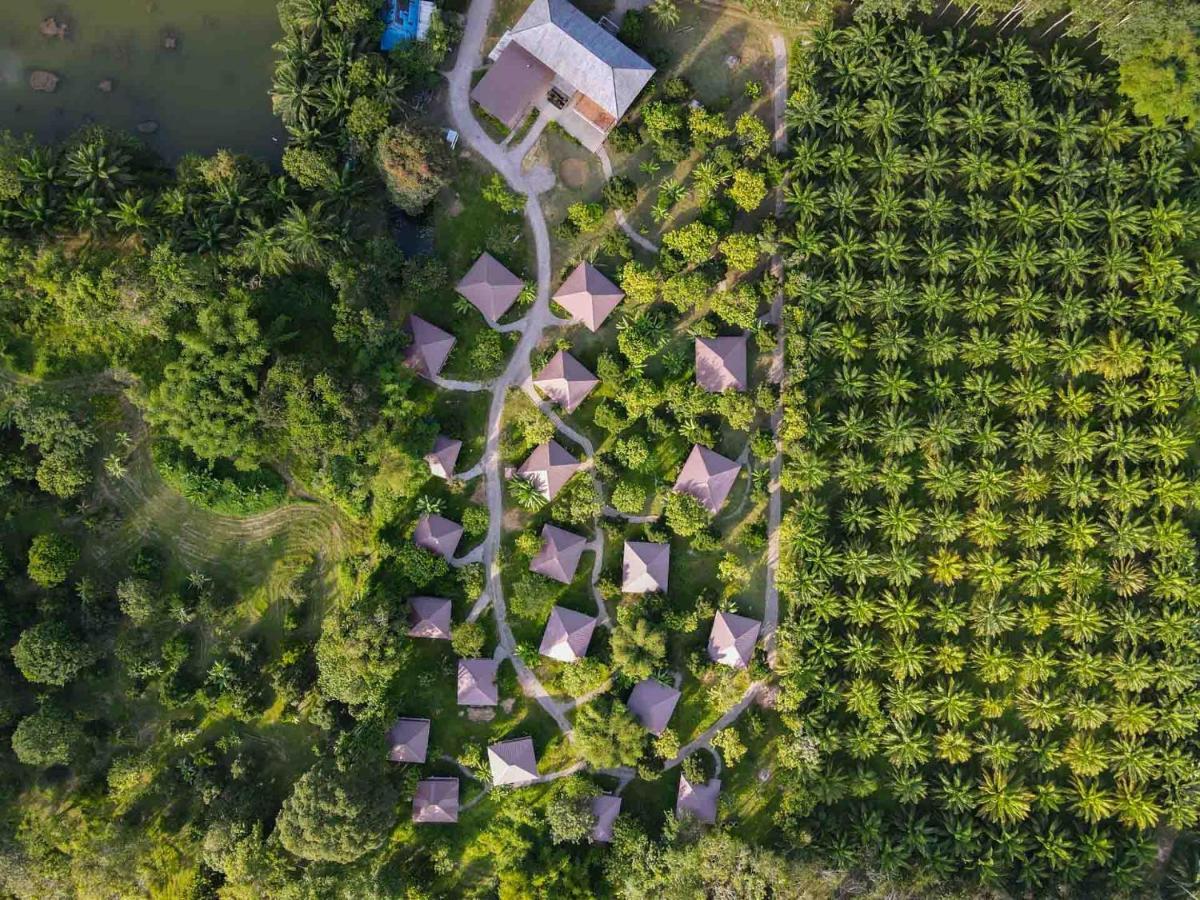 Monkey Mansion - Jungalows & Tours Khao Sok National Park Exterior photo