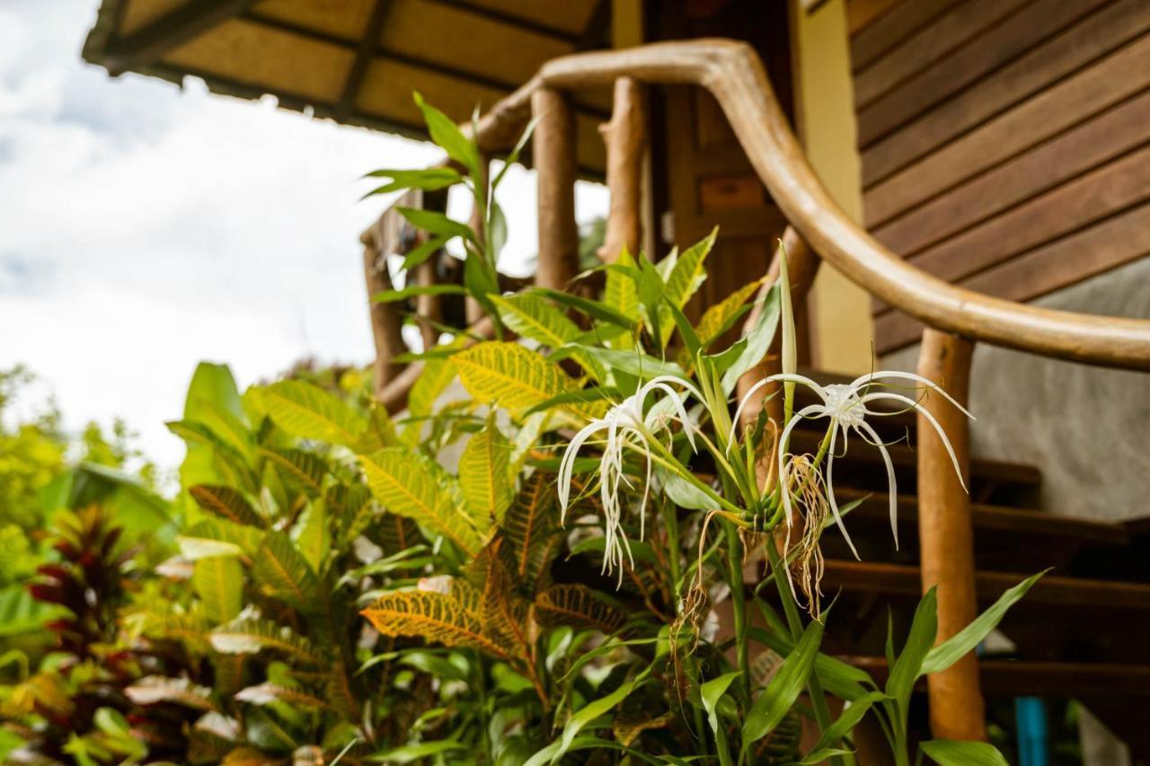 Monkey Mansion - Jungalows & Tours Khao Sok National Park Exterior photo