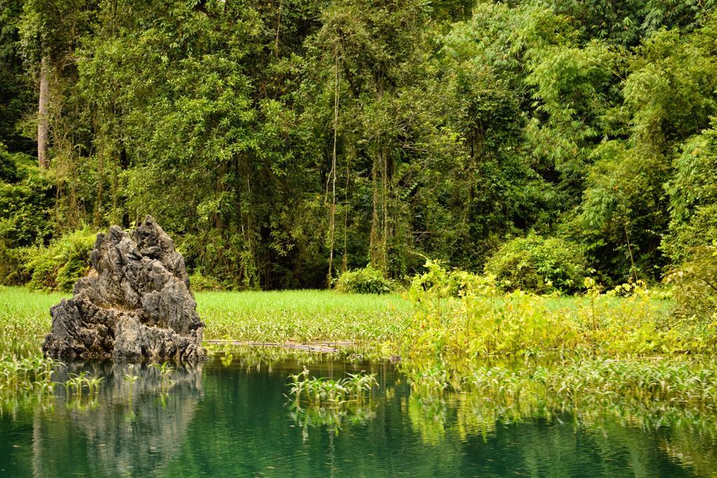 Monkey Mansion - Jungalows & Tours Khao Sok National Park Exterior photo
